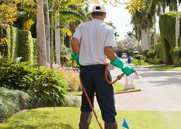 About Buffalo KY Pest Control